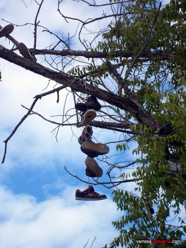 El árbol de los zapatos II