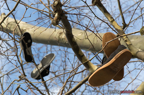 Montón de zapatos en el árbol