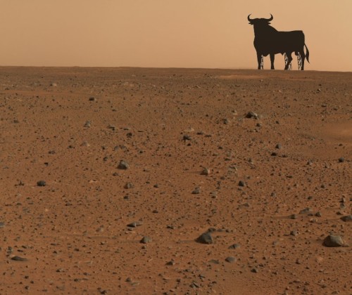 Toro de Osborne en Marte