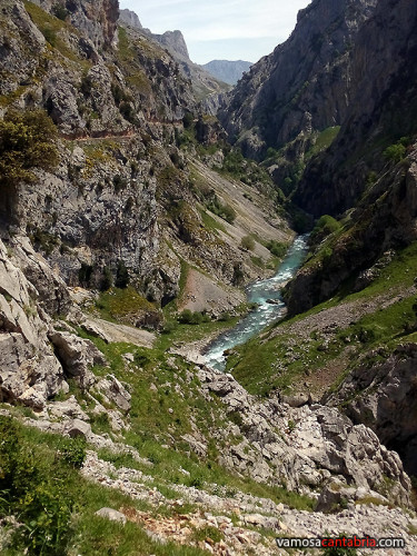 Río Cares al fondo del valle