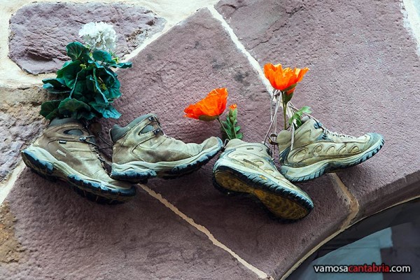 Zapatos con flores